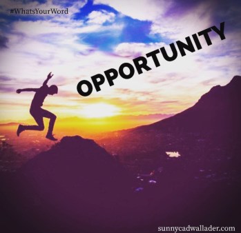 opportunity