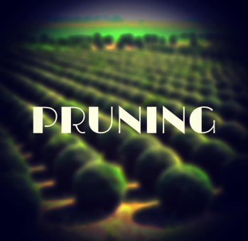 pruning