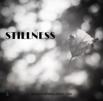 stillness