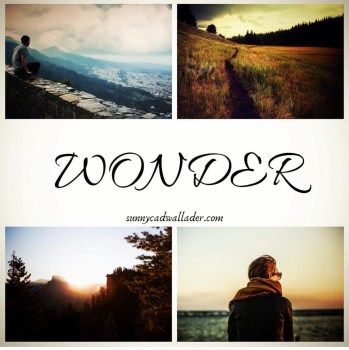 wonder